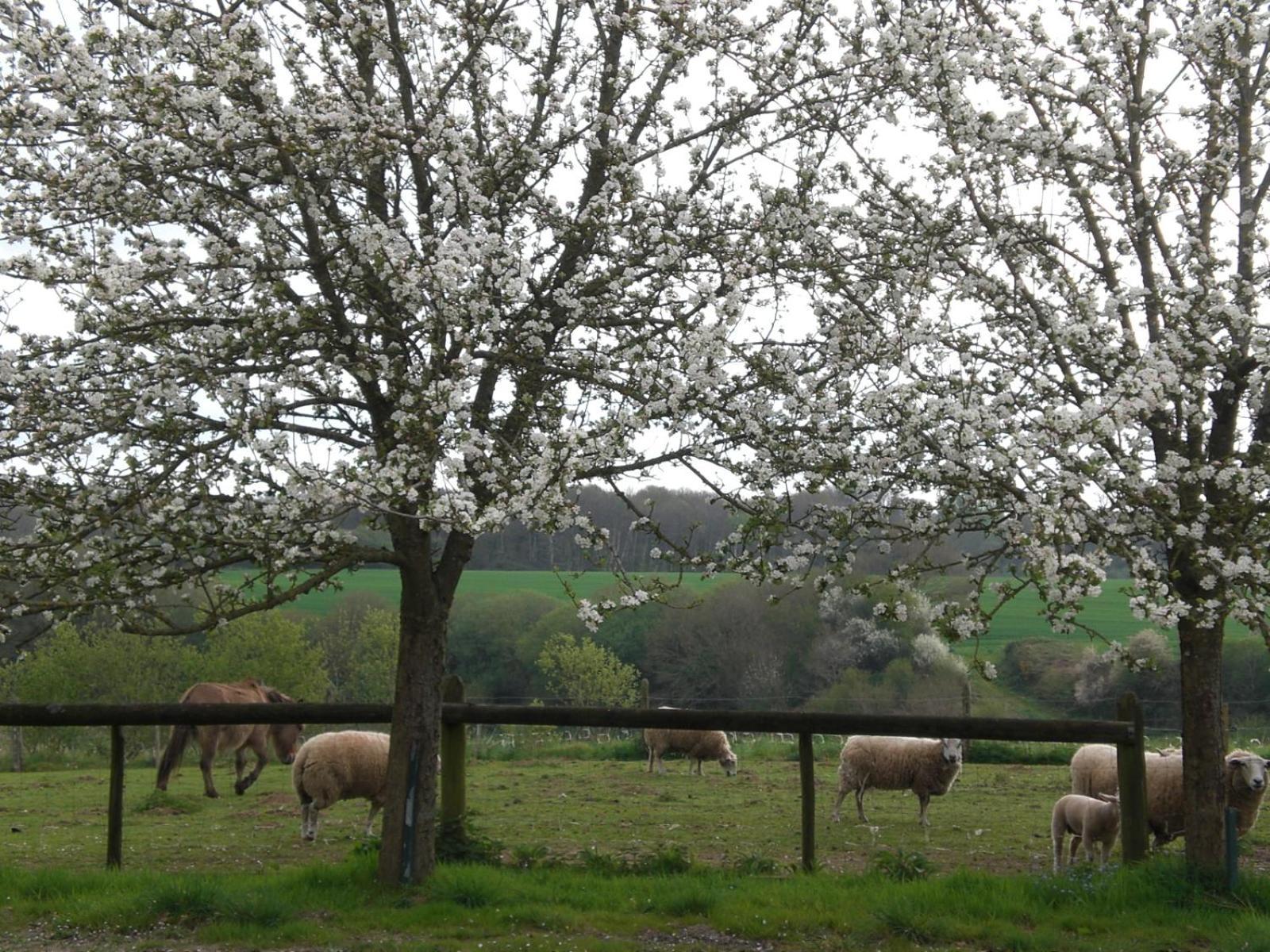 La Grange De Coatelan Ξενοδοχείο Plougonven Εξωτερικό φωτογραφία